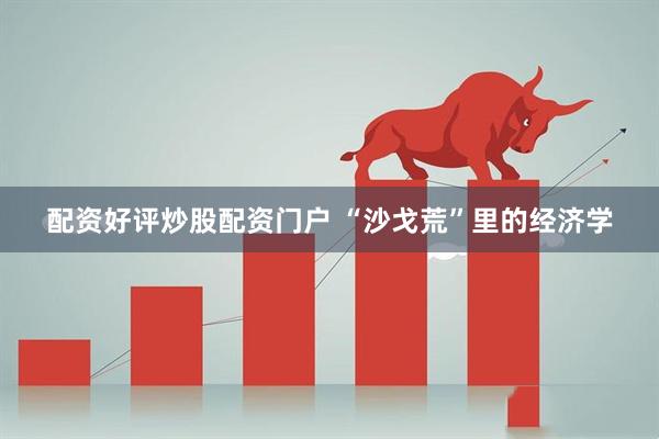 配资好评炒股配资门户 “沙戈荒”里的经济学
