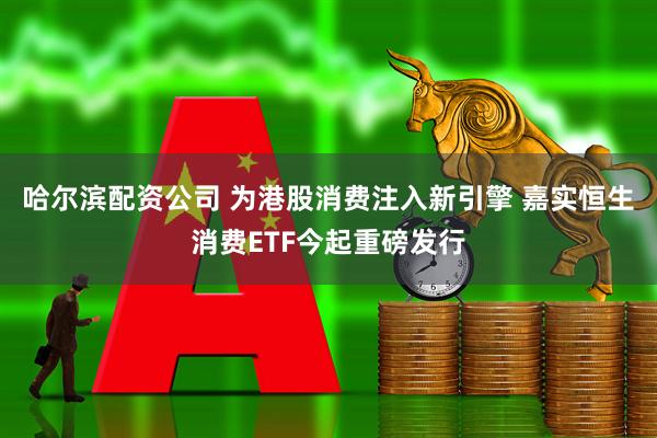 哈尔滨配资公司 为港股消费注入新引擎 嘉实恒生消费ETF今起重磅发行